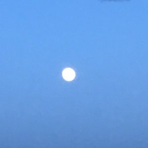 Meet your Posher, Dena